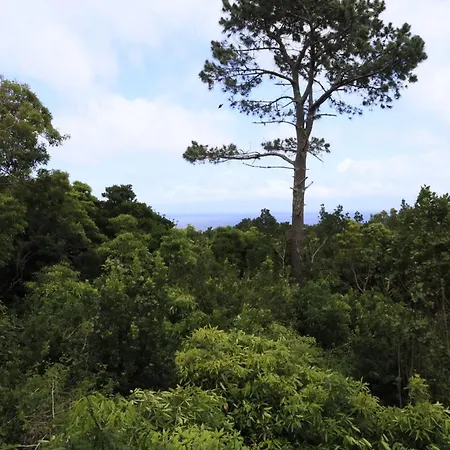 Casas Do Caminho Novo *