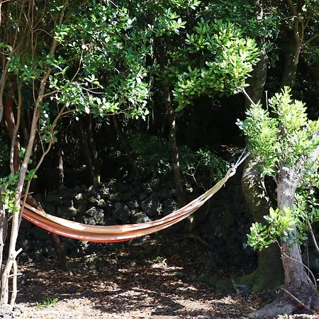 Casas Do Caminho Novo São Roque do Pico