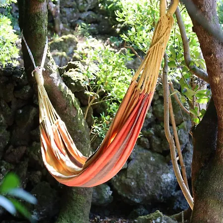 Casas Do Caminho Novo Holiday home