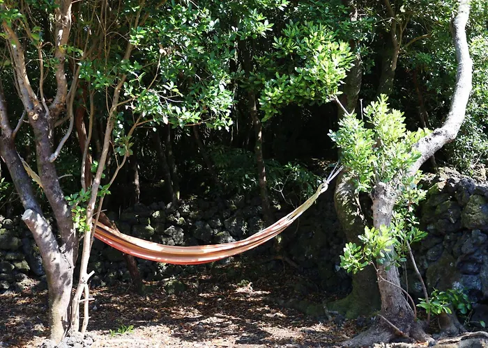 Casas Do Caminho Novo São Roque do Pico